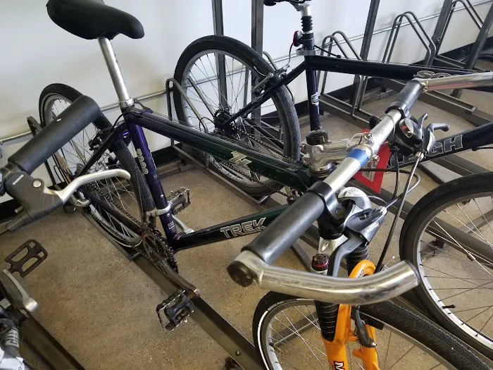 DreamBikes Madison Picture 4