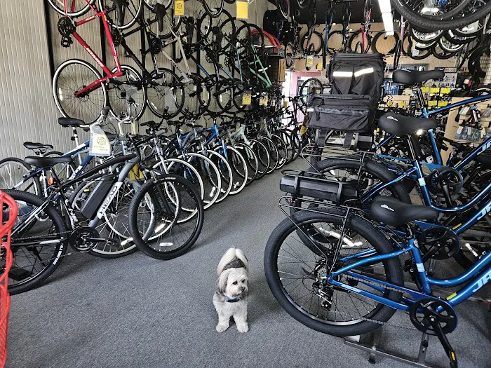 WanaBikeShop.com Picture 3