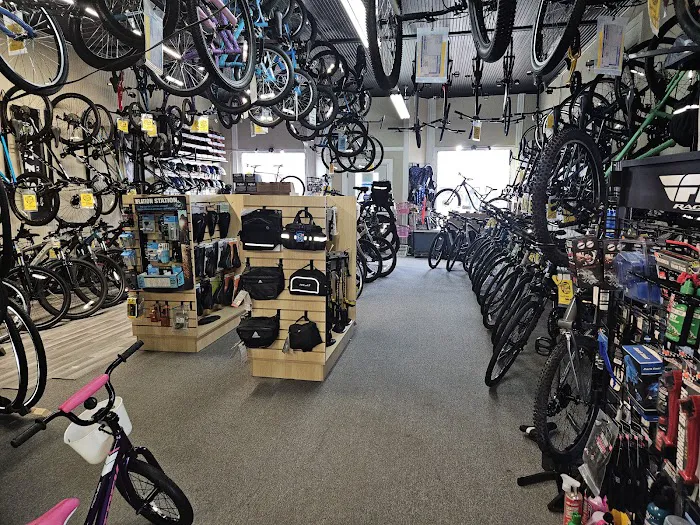 WanaBikeShop.com Picture 4