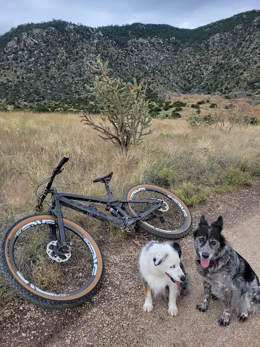 Two Wheel Drive Inc Picture 7