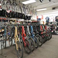 Fat Tire Cycles - Montaño ico