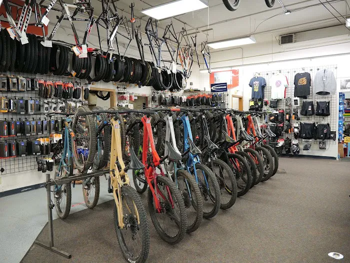 Fat Tire Cycles - Montaño Picture 10