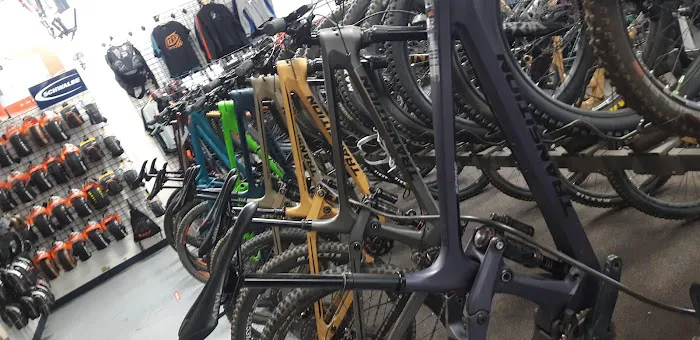 Fat Tire Cycles - Montaño Picture 8