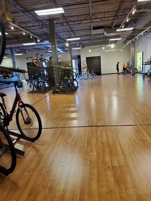 Trek Bicycle Albuquerque Picture 9