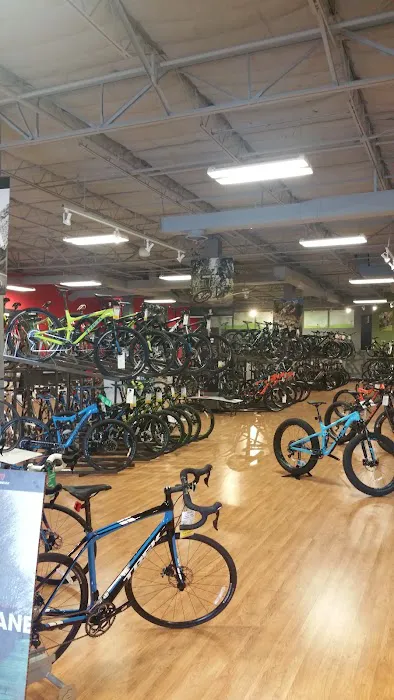 Trek Bicycle Albuquerque Picture 2
