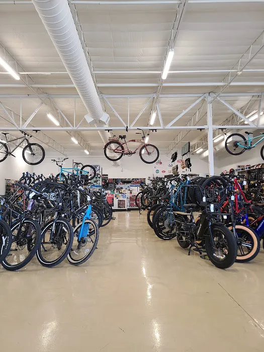 Fat Tire Cycles - Corrales Picture 9