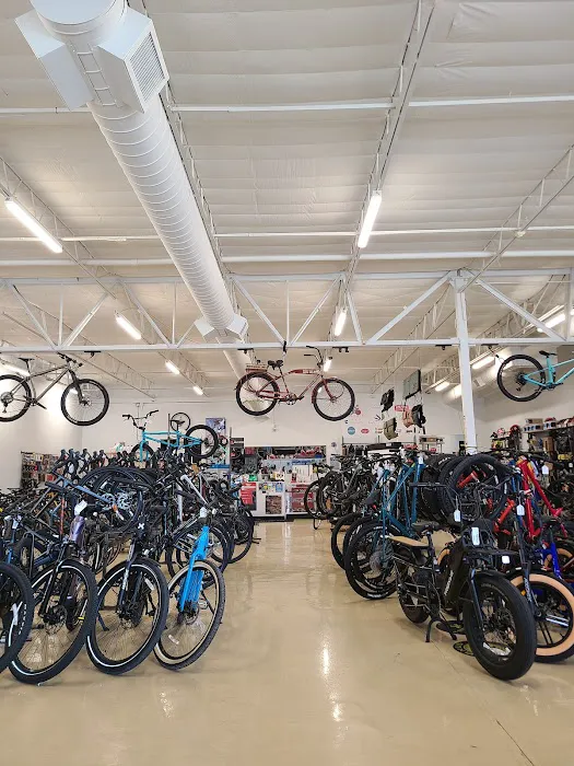 Fat Tire Cycles - Corrales Picture 4