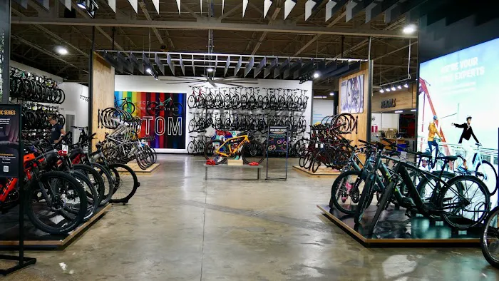 Trek Bicycle Lamar Picture 7