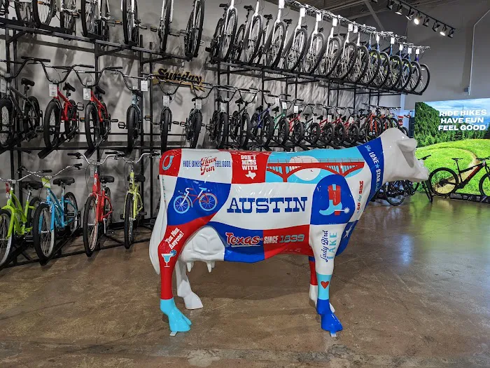 Trek Bicycle Lamar Picture 4