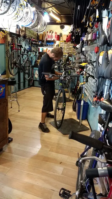 Clown Dog Bikes Picture 2