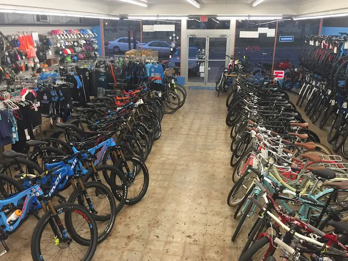 Cycle Progression Picture 5