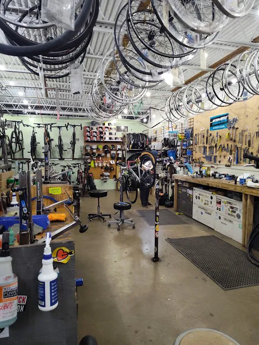 Eastside Pedal Pushers Picture 2