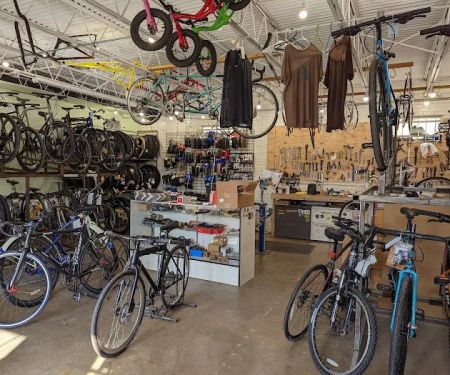 Eastside Pedal Pushers