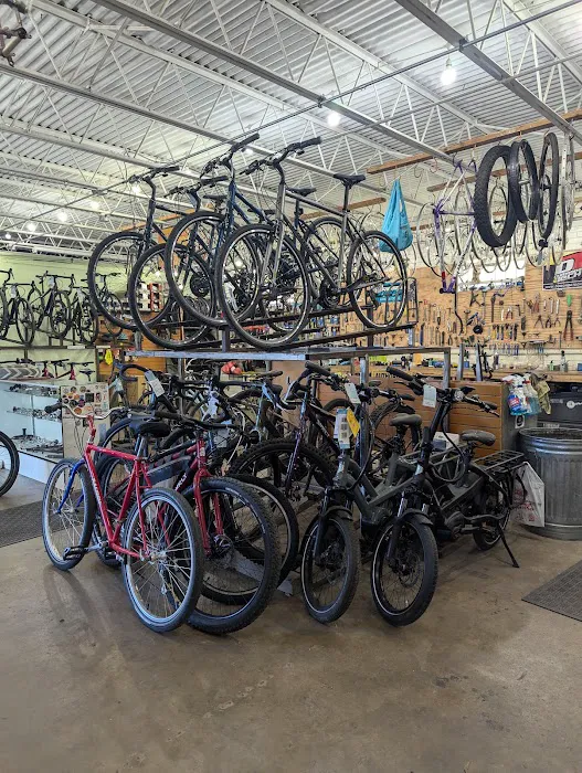 Eastside Pedal Pushers Picture 6
