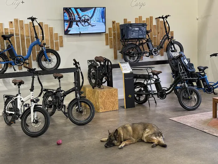 MOD BIKES Picture 2