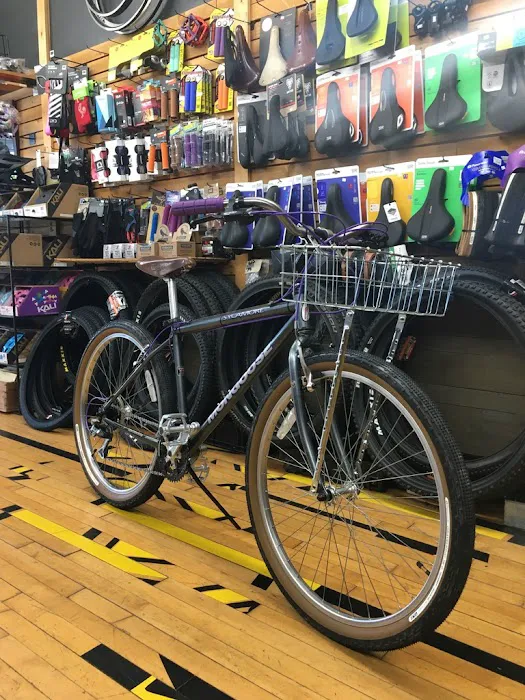 Bikealot Picture 9