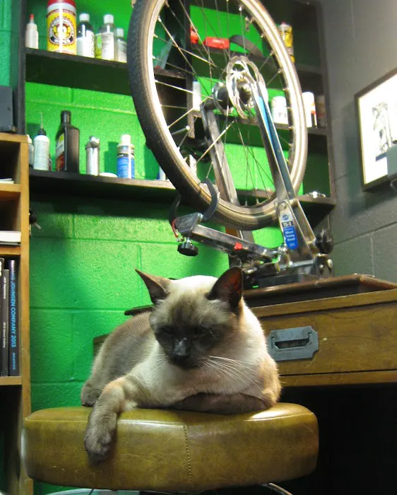 Bikealot Picture 4