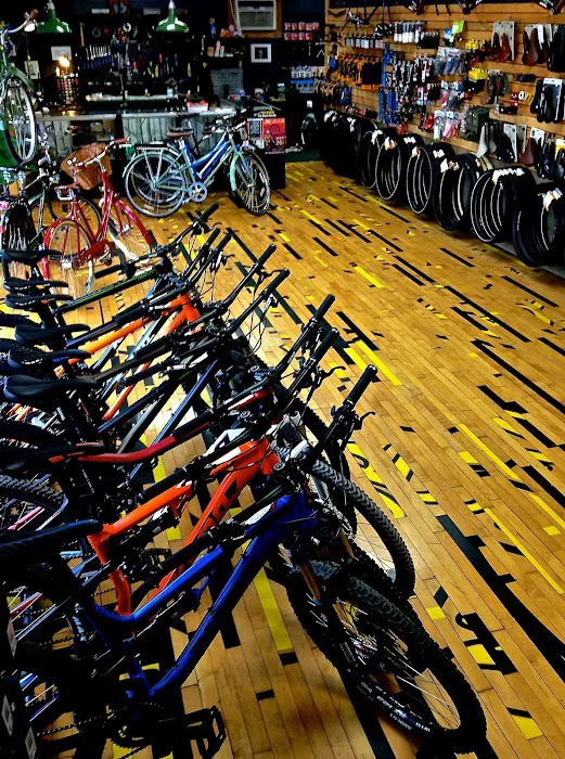 Bikealot Picture 10