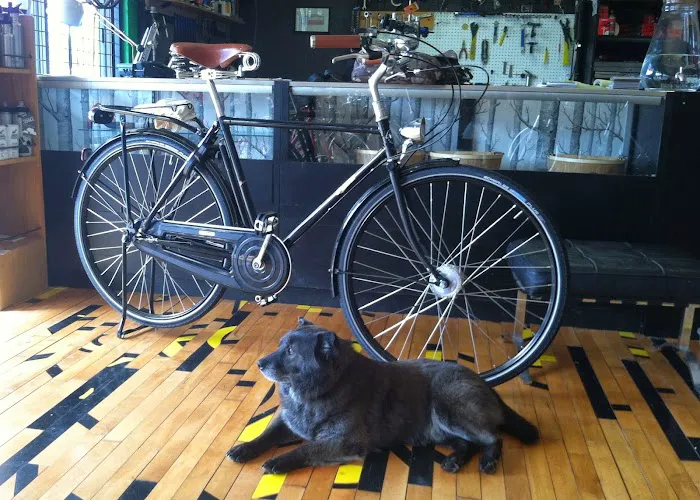 Bikealot Picture 8