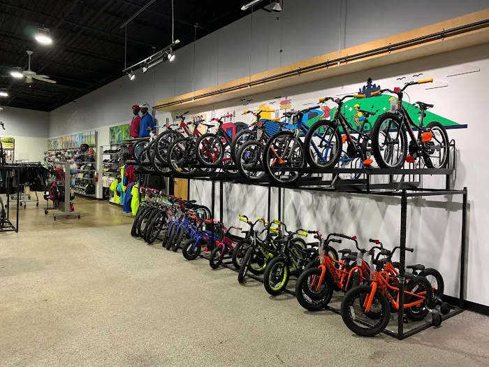Trek Bicycle Parmer Picture 8