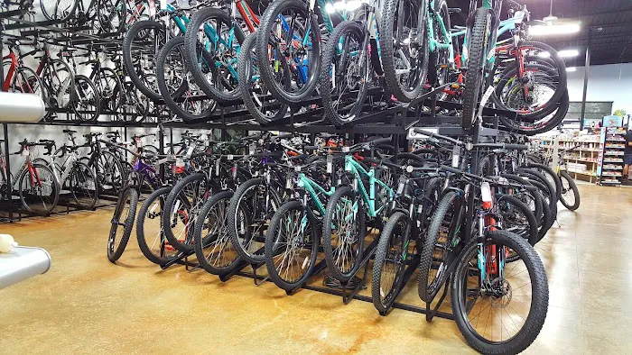 Trek Bicycle Parmer Picture 5