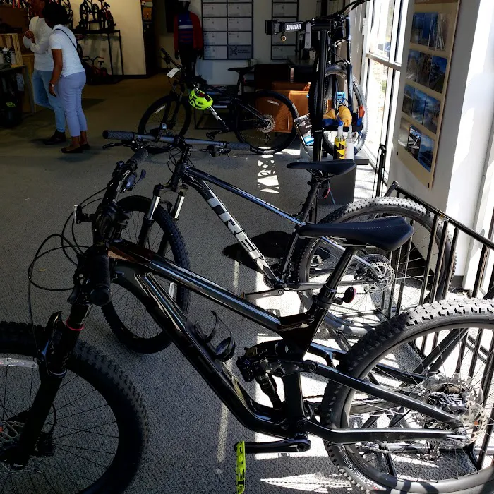 Trek Bicycle Parmer Picture 3