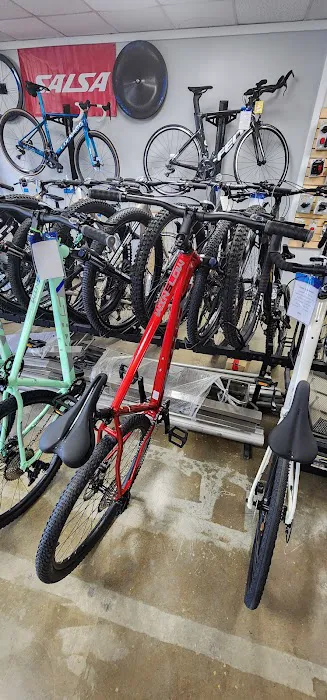 Blur Cycleworks Picture 2