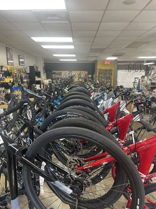Blur Cycleworks Picture 10