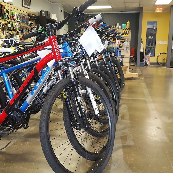 Blur Cycleworks Picture 7