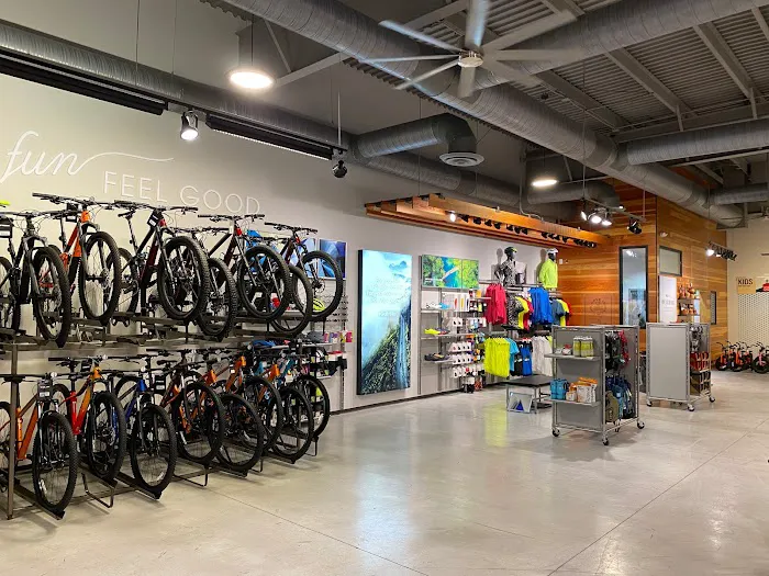 Trek Bicycle Bee Cave Picture 9