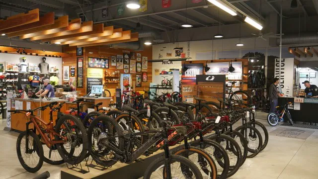 Trek Bicycle Bee Cave Picture 5