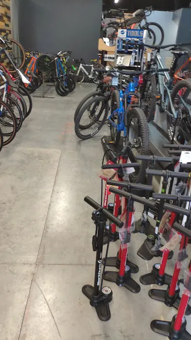 The Peddler Bicycle Shop - Cedar Park Picture 8