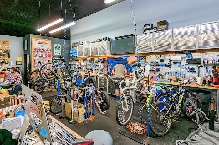 The Peddler Bicycle Shop - Cedar Park Picture 5