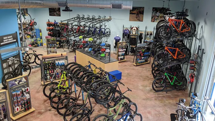 Galaxy Bicycles Picture 7
