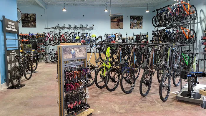 Galaxy Bicycles Picture 6