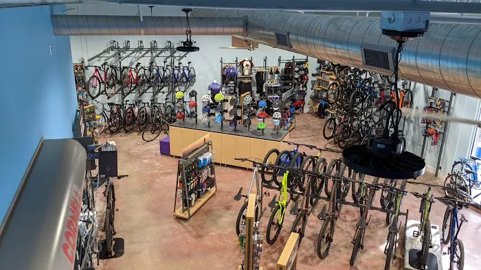 Galaxy Bicycles Picture 9