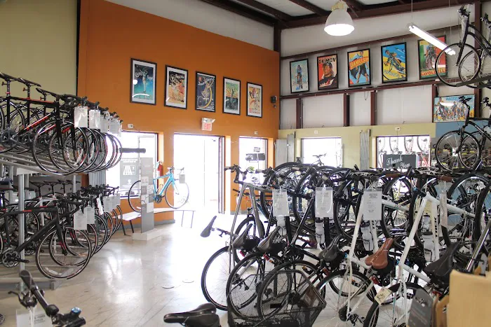 Trek Bicycle San Marcos Picture 9