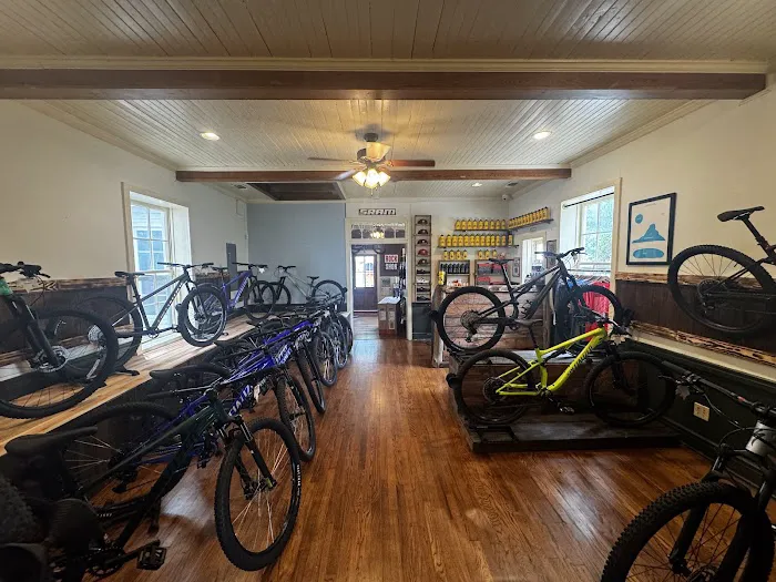 The Path Bike Shop Picture 2