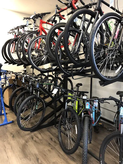 The Chain Link Bicycle Shop Picture 10