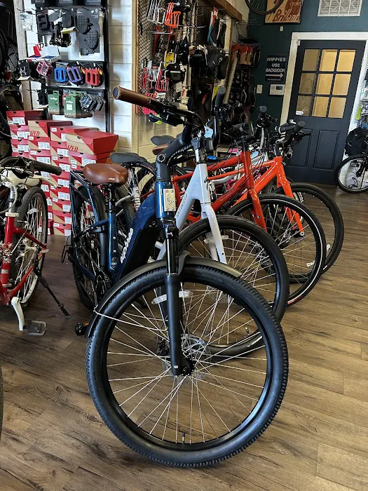 The Chain Link Bicycle Shop Picture 4