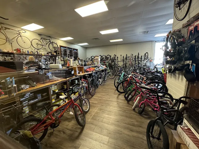 The Chain Link Bicycle Shop Picture 5