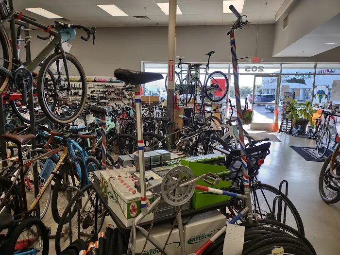 Action Bikes Picture 4