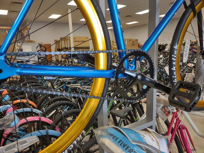 Action Bikes Picture 5