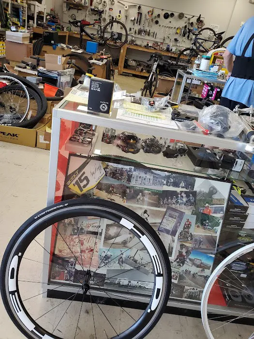 Action Bikes Picture 7