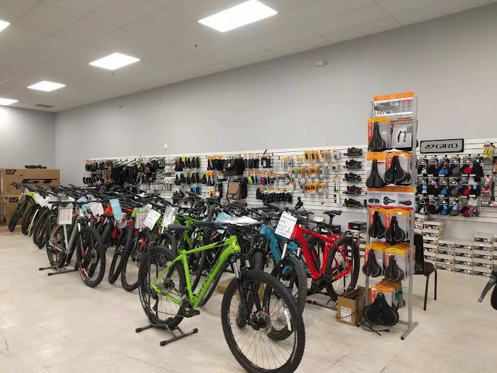 Action Bikes Picture 6