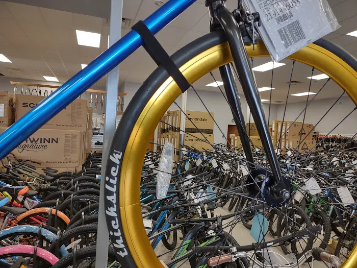 Action Bikes Picture 3