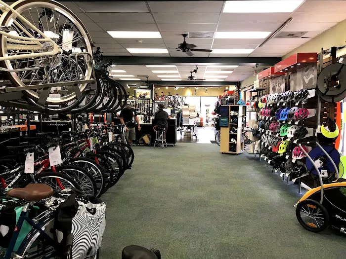 Trek Bicycle Alamo Heights Picture 1