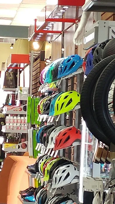 Trek Bicycle Alamo Heights Picture 8