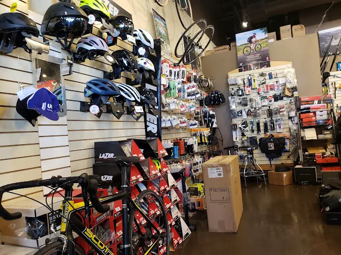 BRITTON'S Bicycle Shop Picture 2