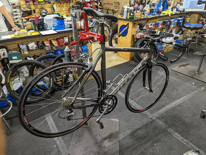 Crossroad Bikes Picture 4
